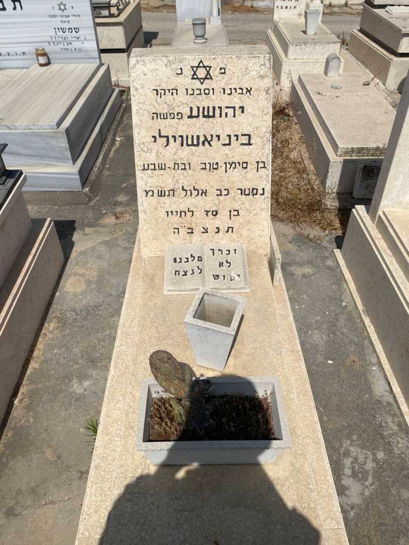 קברו של יהושע "פפשה" בניאשוילי. תמונה 1