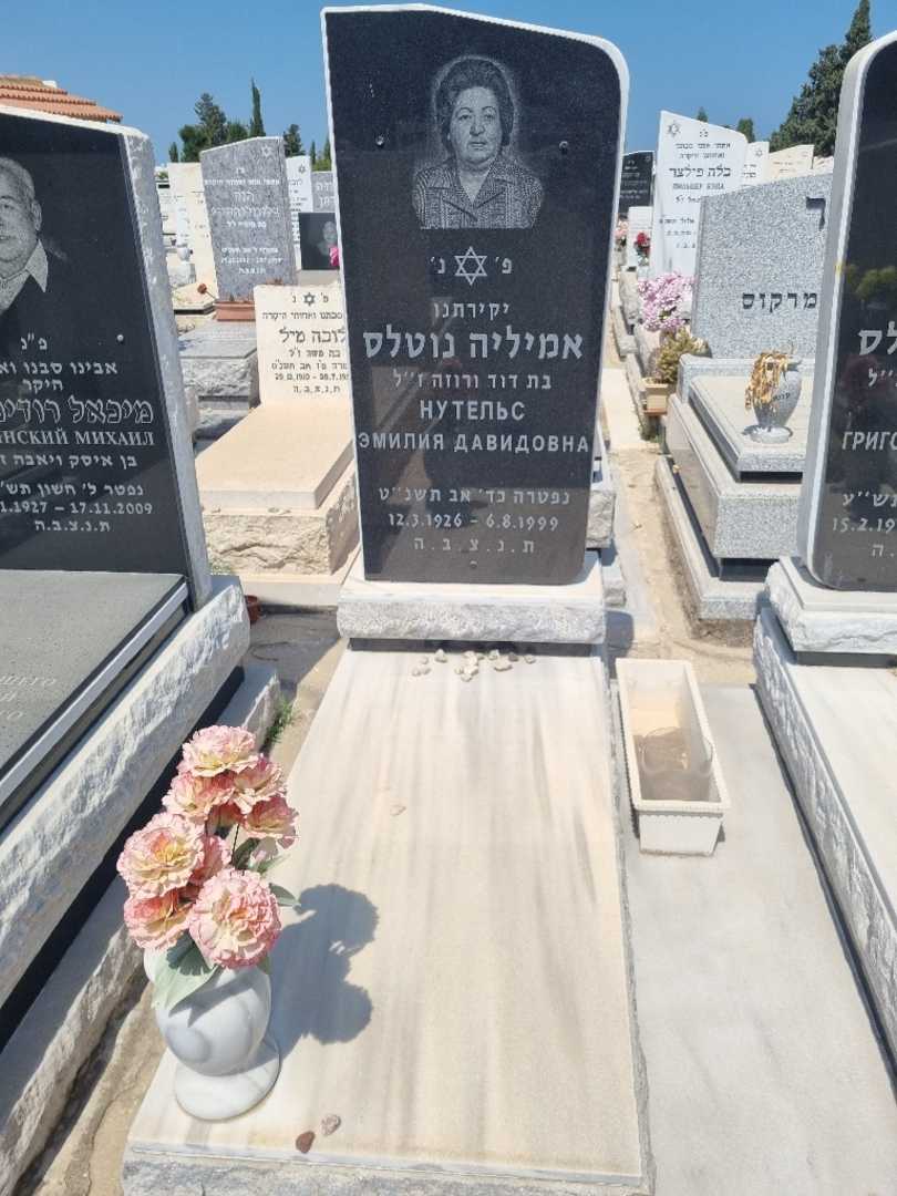 קברו של אמליה נוטלס. תמונה 2