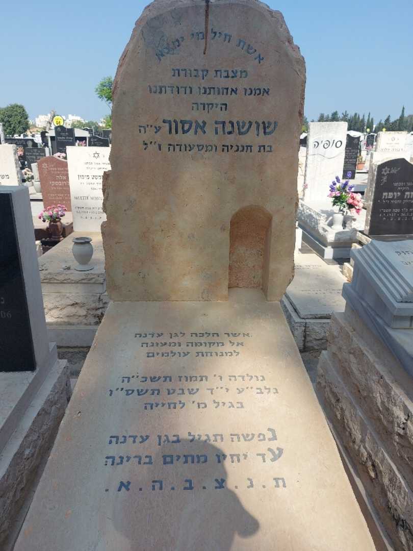 קברו של שושנה אסור. תמונה 1