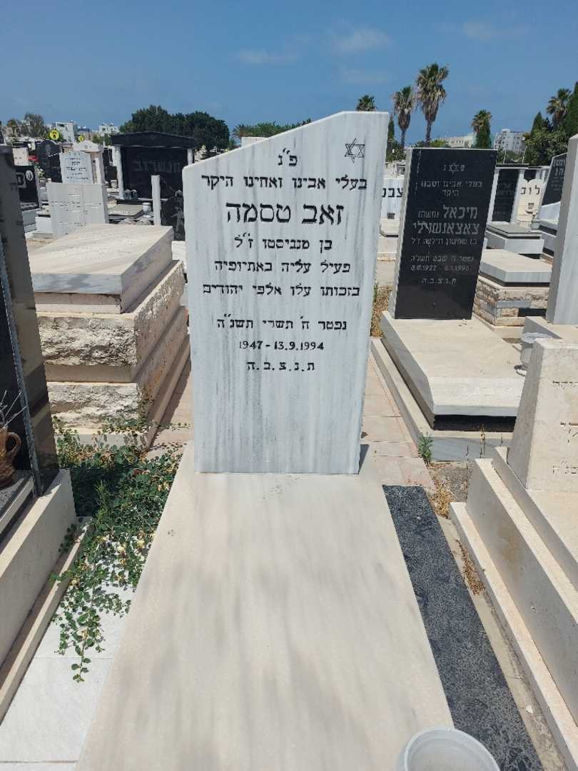 קברו של זאב טסמה. תמונה 1