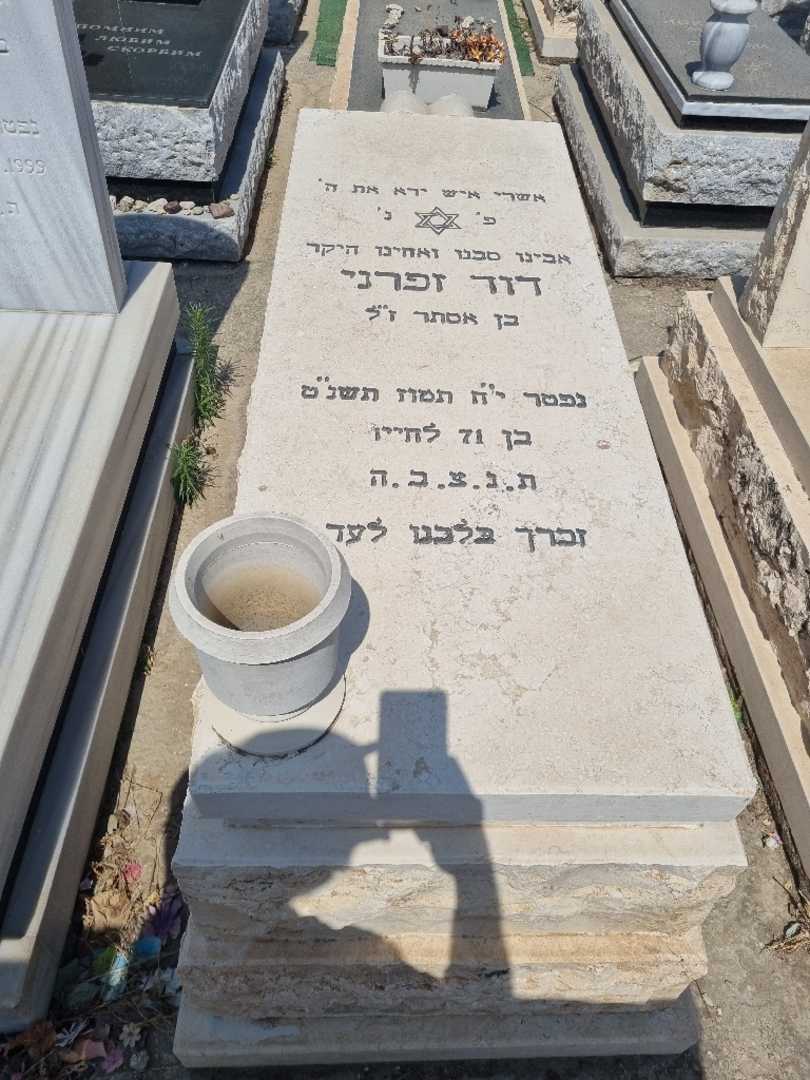 קברו של דוד זעפרני. תמונה 1