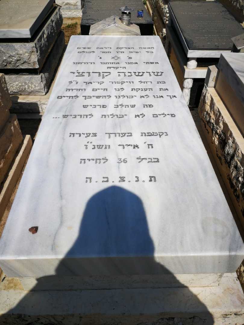 קברו של שושנה קרוטשה. תמונה 1