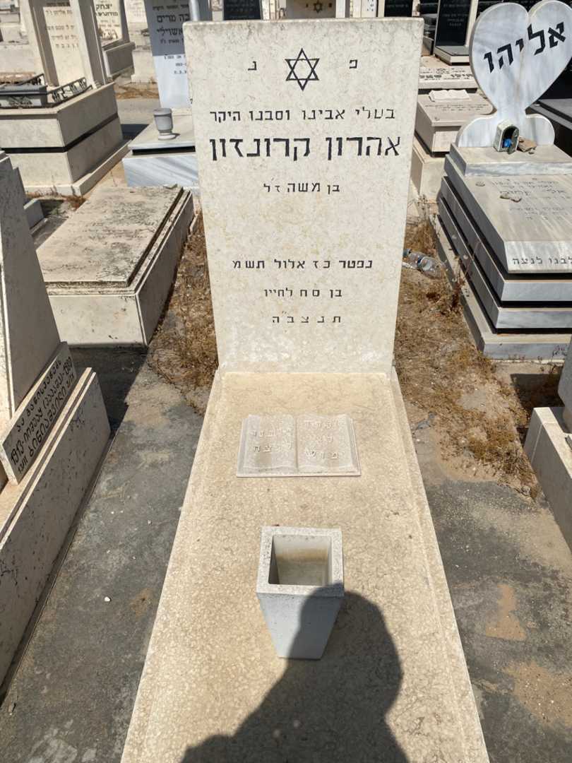 קברו של אהרן קרונזון. תמונה 1