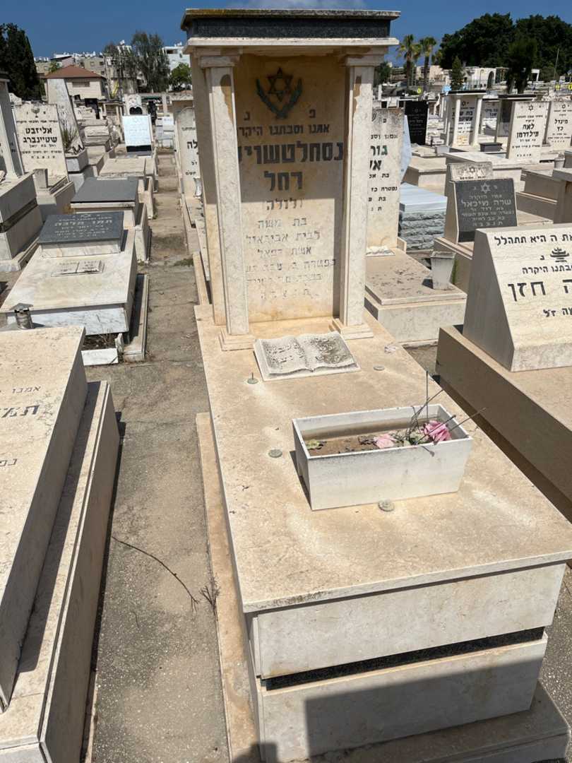 קברו של לולה "לולה" נסחלטשוילי. תמונה 1