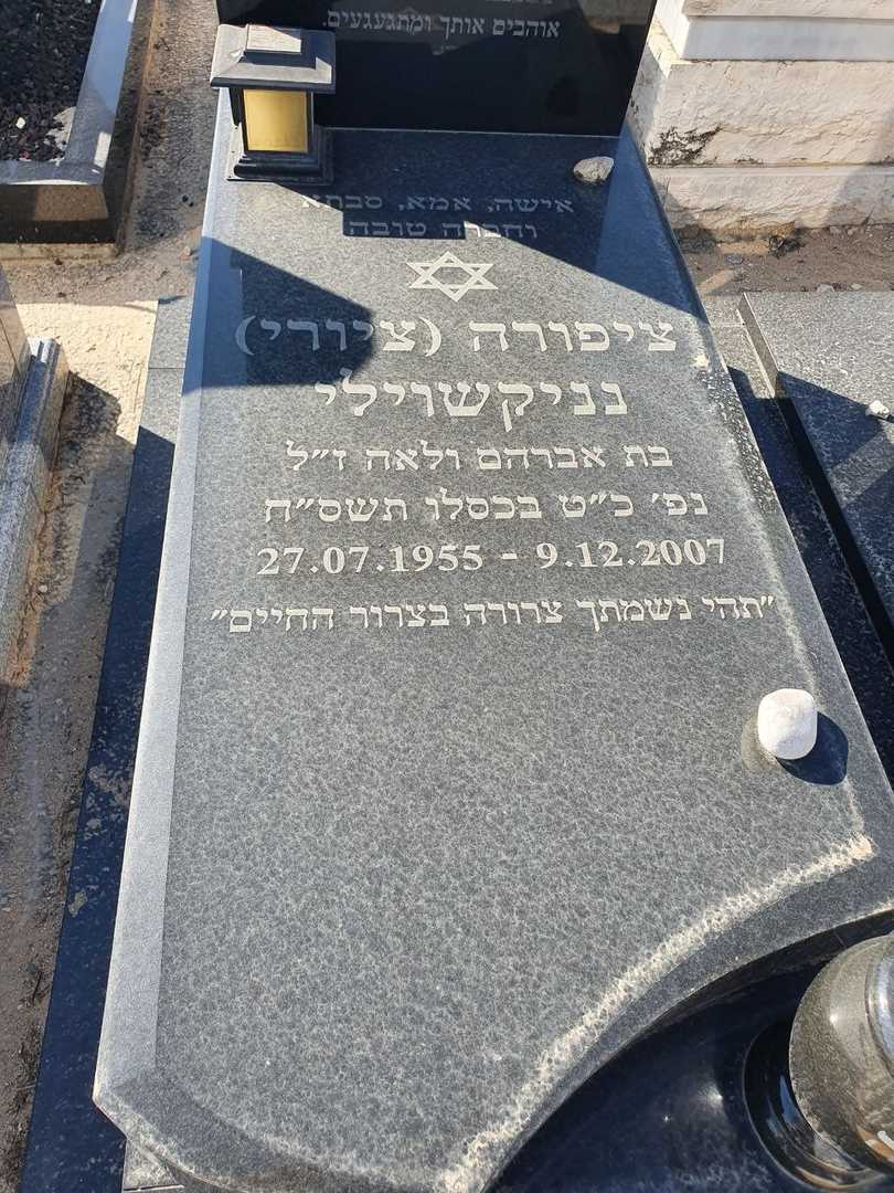 קברו של ציפורה (ציורי) נניקשוילי. תמונה 2