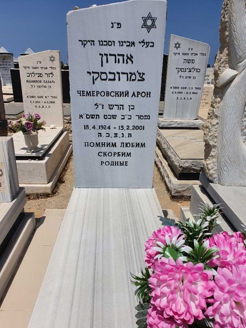 קברו של אהרון צימרובסקי. תמונה 1