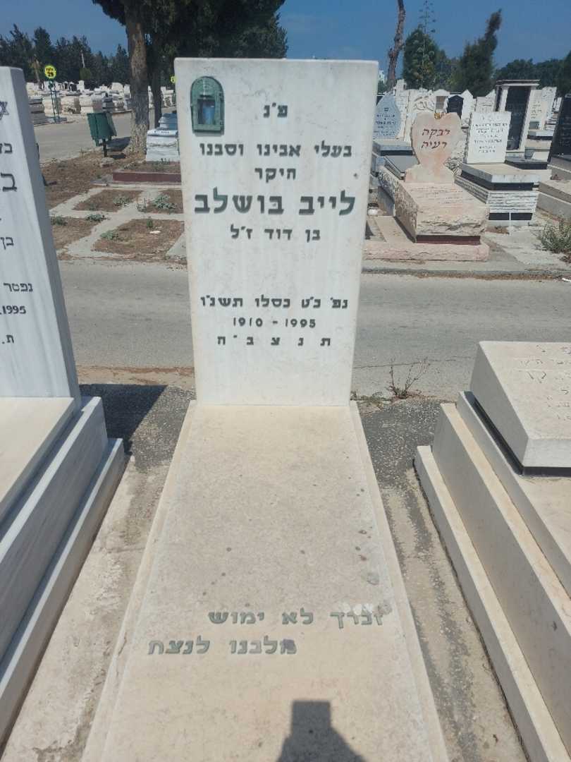 קברו של לב בושלב. תמונה 1