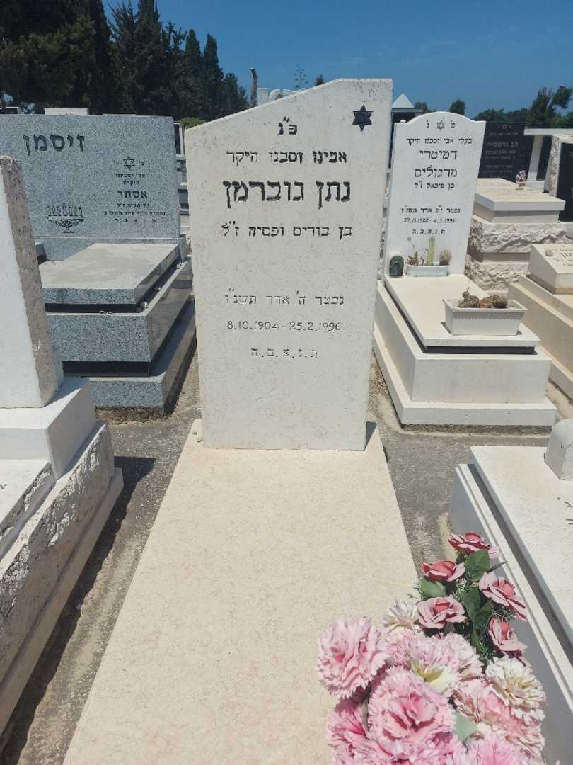 קברו של נתן גוברמן. תמונה 1