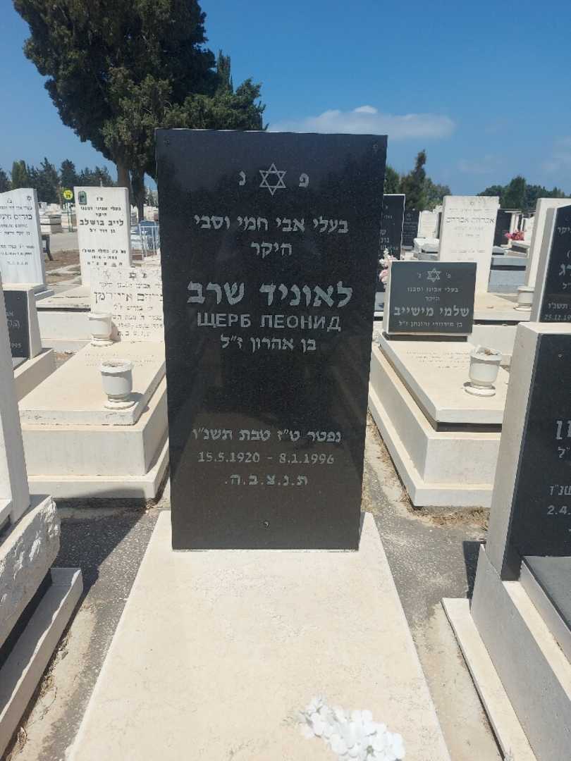קברו של לאוניד שרב. תמונה 1