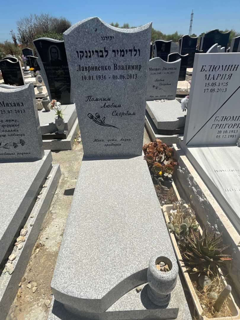 קברו של ולדימיר לבריננקו. תמונה 1