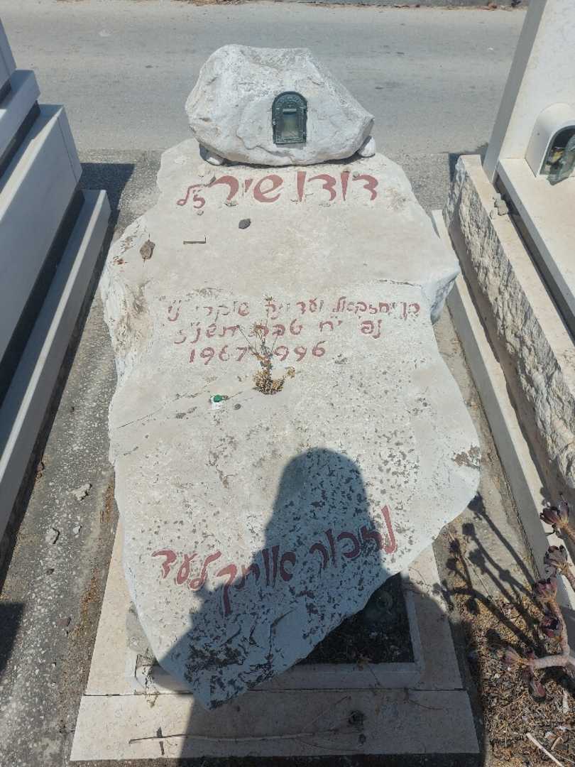 קברו של דוד שיר. תמונה 1