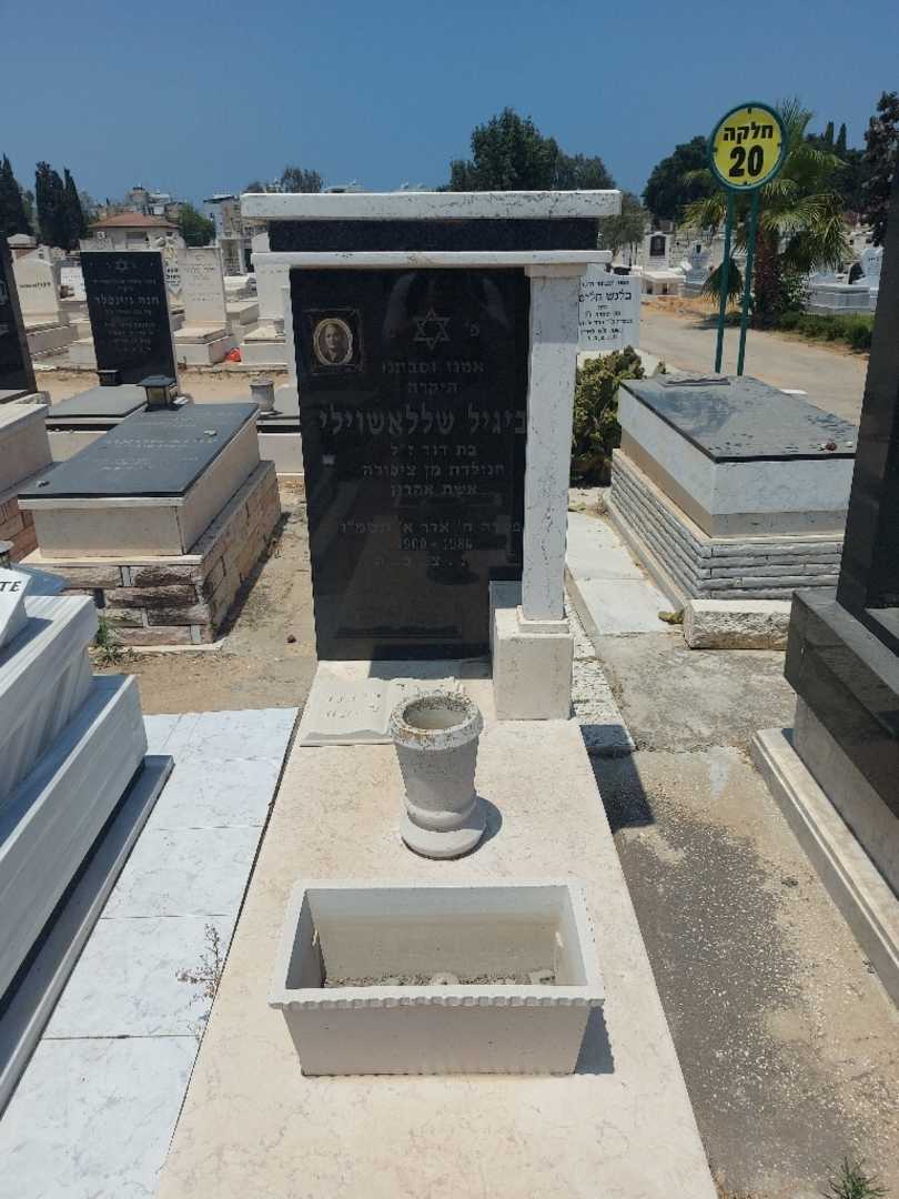 קברו של אביגיל שללאשוילי. תמונה 1