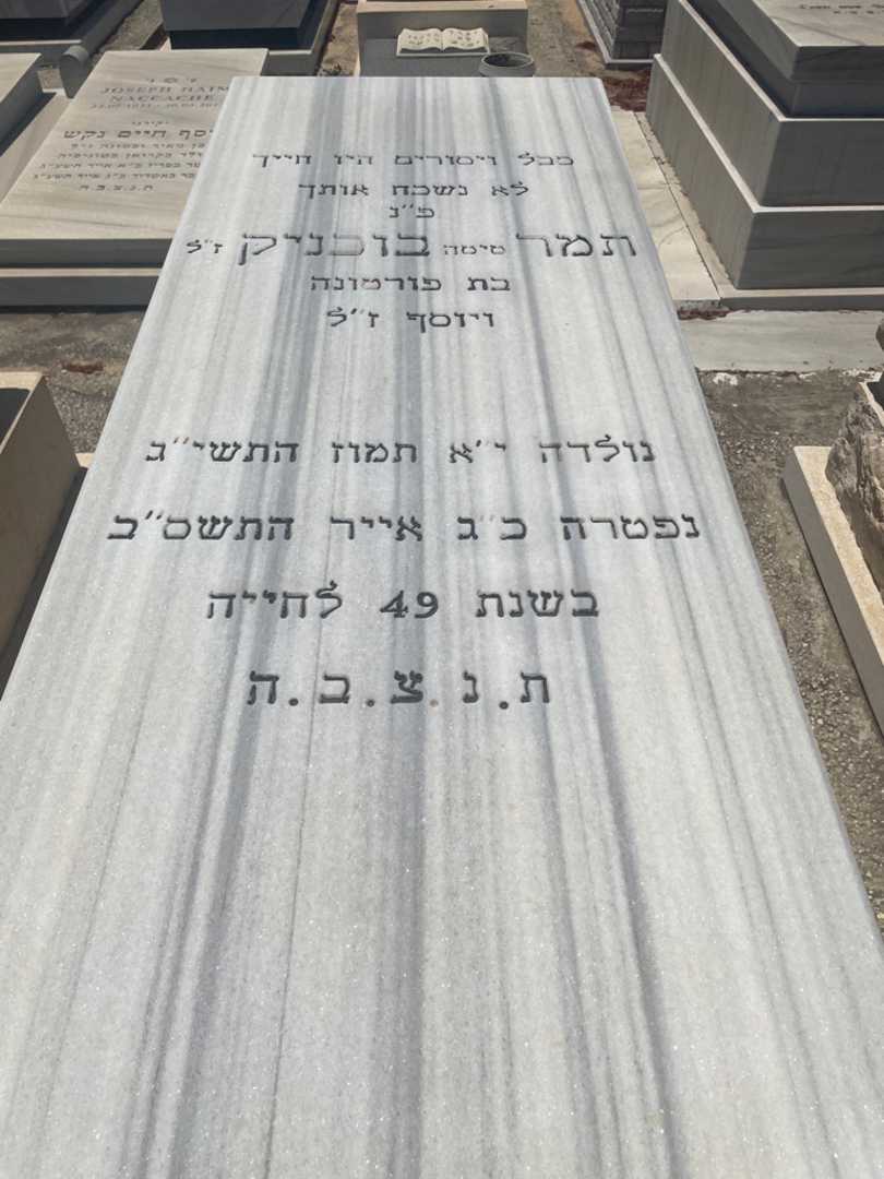 קברו של תמר "טיטה" בוחניק. תמונה 2