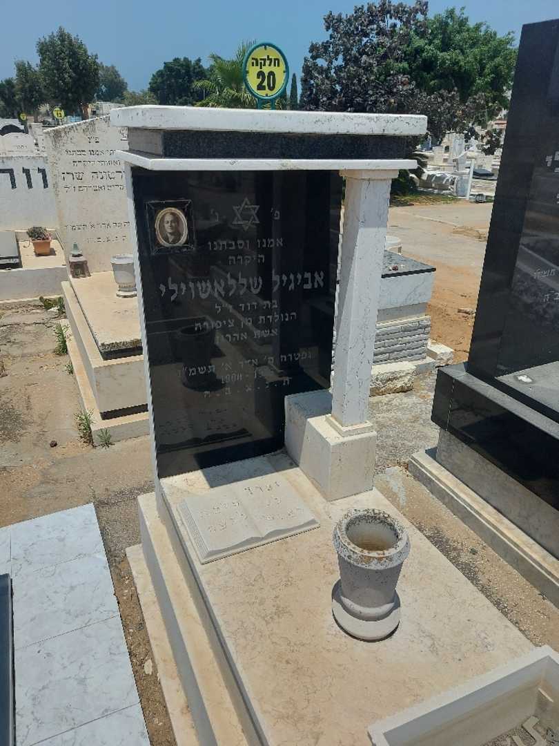 קברו של אביגיל שללאשוילי. תמונה 2