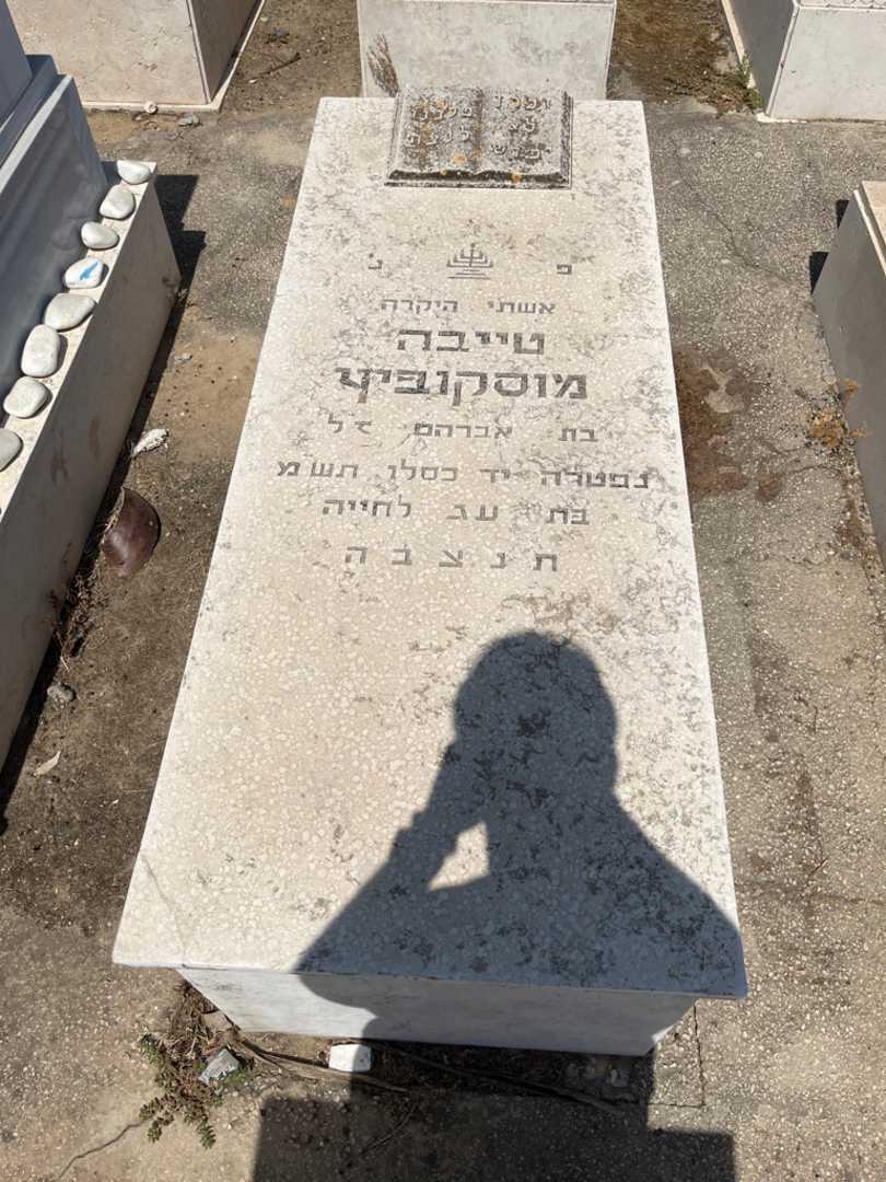קברו של טייבה מוסקוביץ. תמונה 1