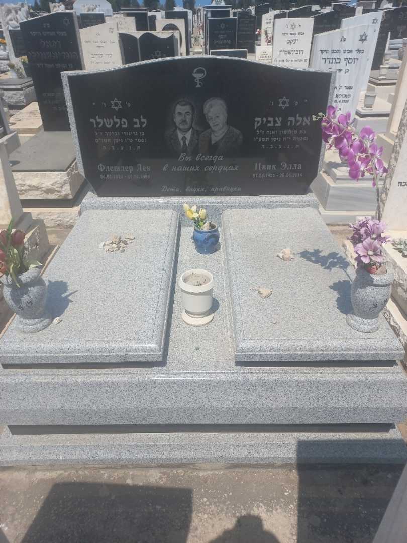 קברו של אלה צביק. תמונה 1