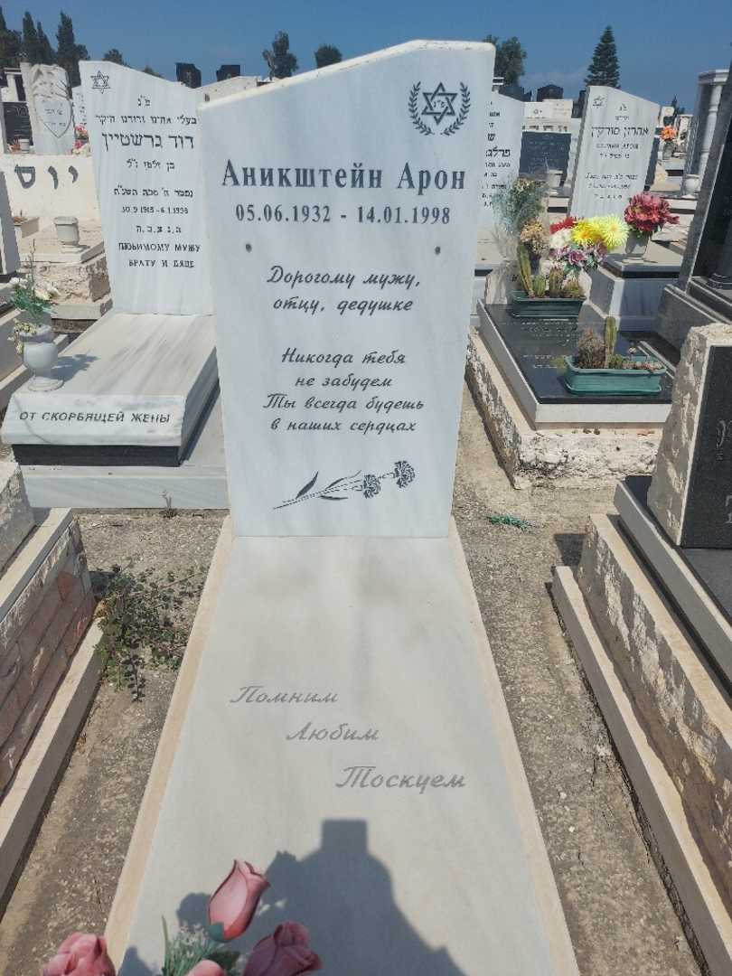 קברו של אהרון אניקשטיין. תמונה 1