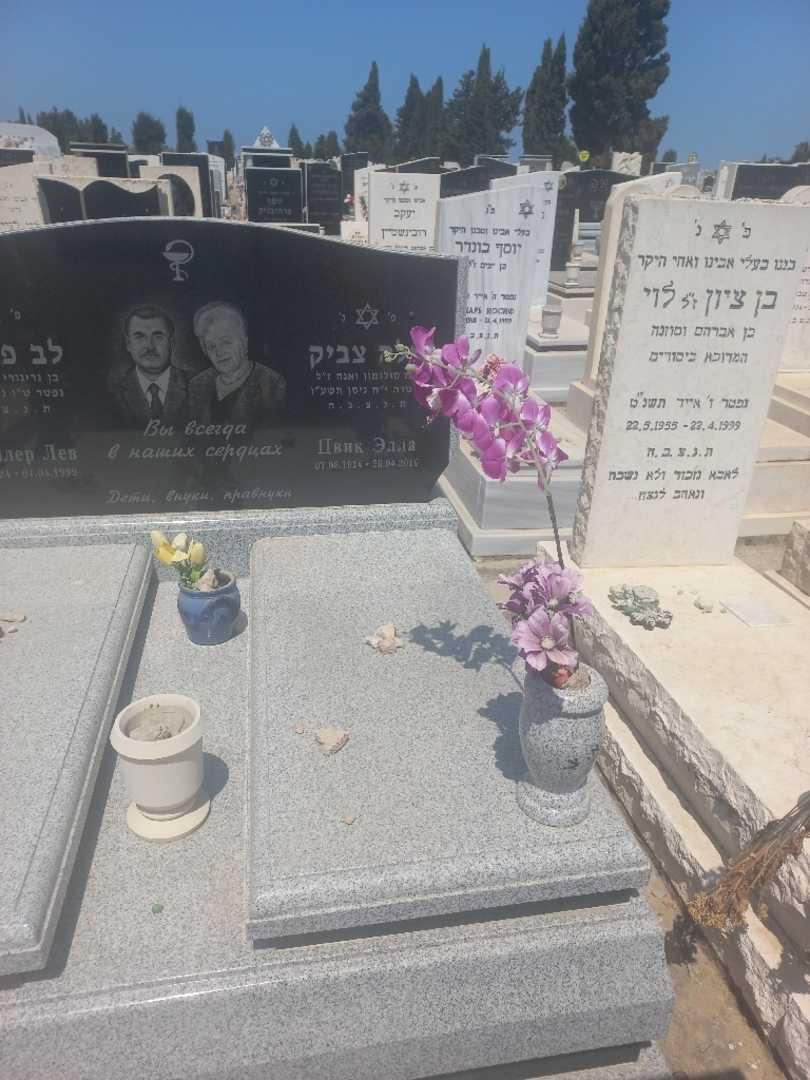 קברו של אלה צביק. תמונה 2