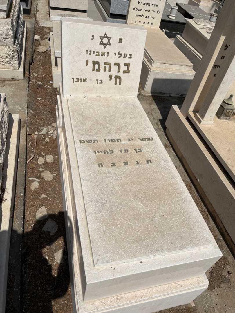 קברו של ברהמי חי. תמונה 1