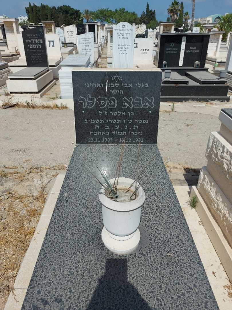 קברו של אבא פסלר. תמונה 1
