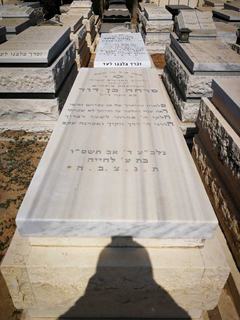 קברו של פריחה בן דוד. תמונה 1