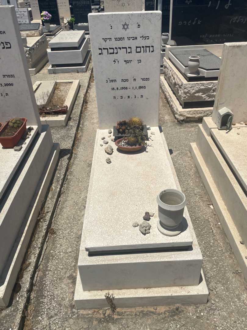 קברו של נחום גרינברג. תמונה 1