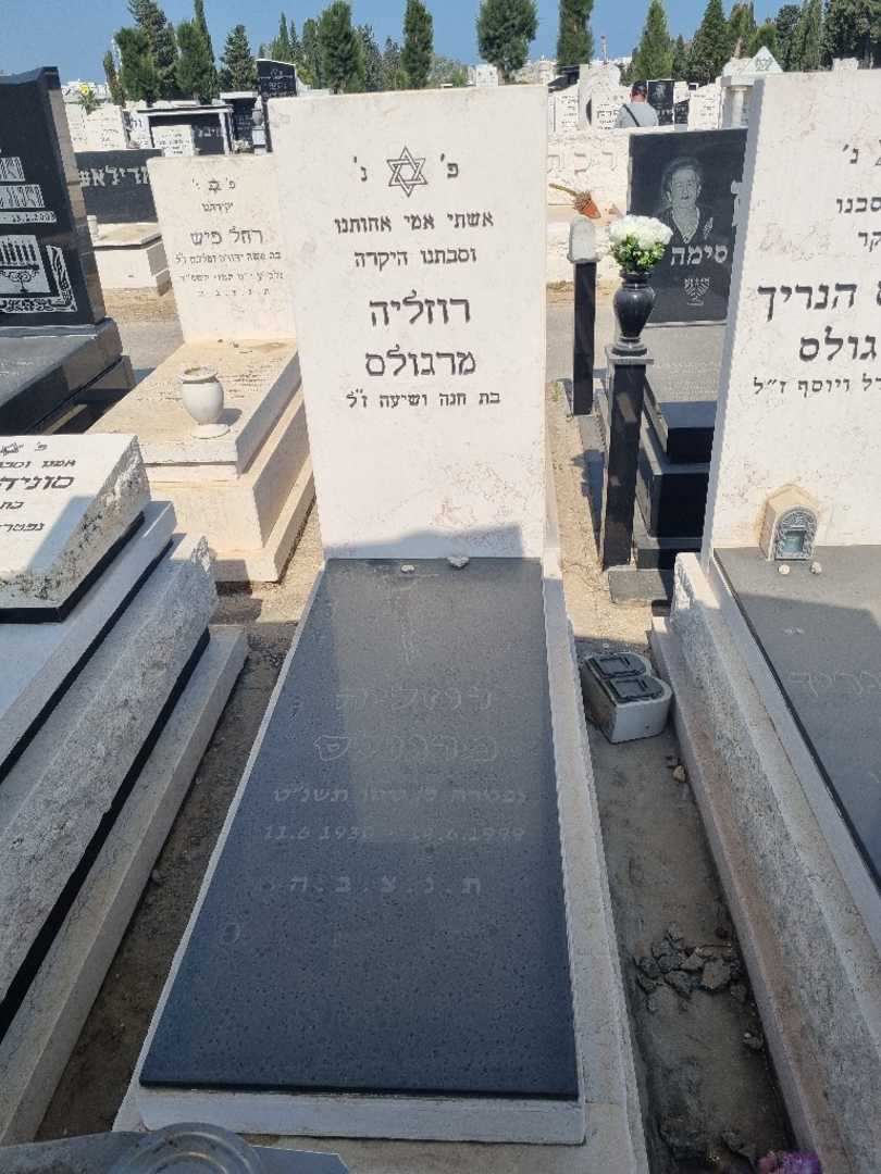 קברו של רוזליה מרגולס. תמונה 1