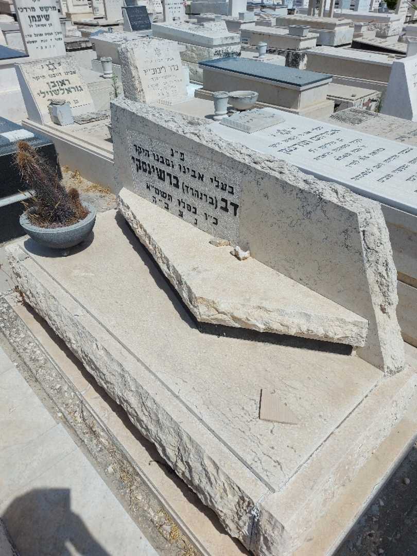 קברו של דב "ברנהרד" ברשינסקי. תמונה 1