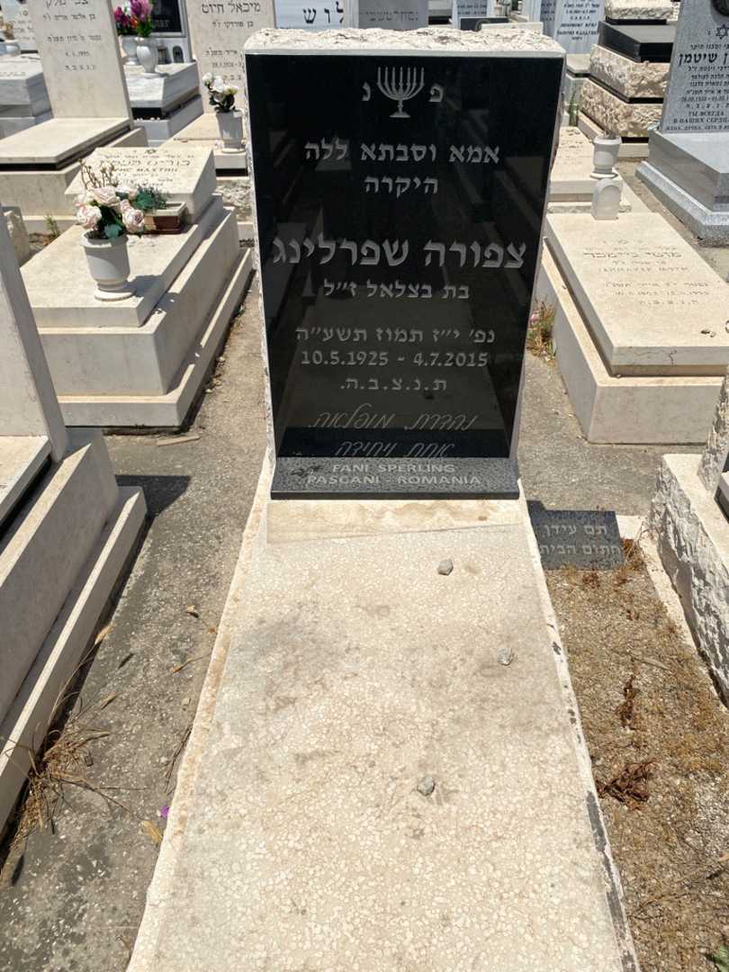 קברו של צפורה שפרלינג. תמונה 1
