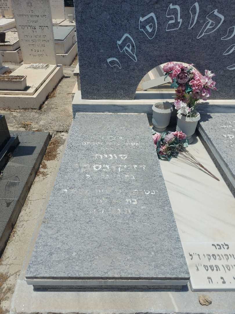 קברו של שלמה דזיקובסקי. תמונה 6