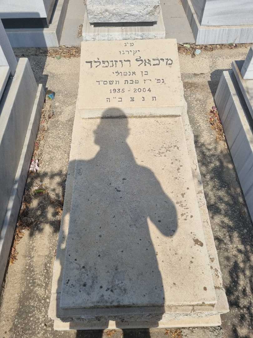 קברו של מיכאל רוזנפלד. תמונה 1