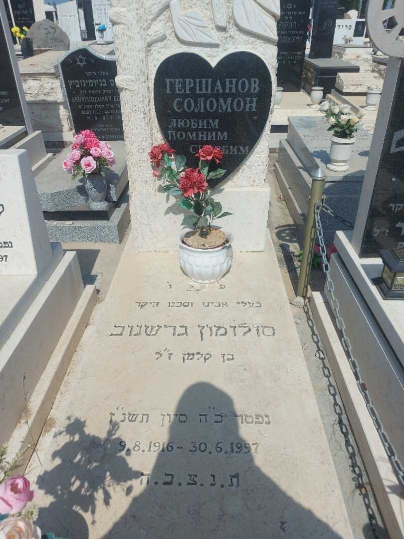קברו של סולומון גרשונוב. תמונה 1