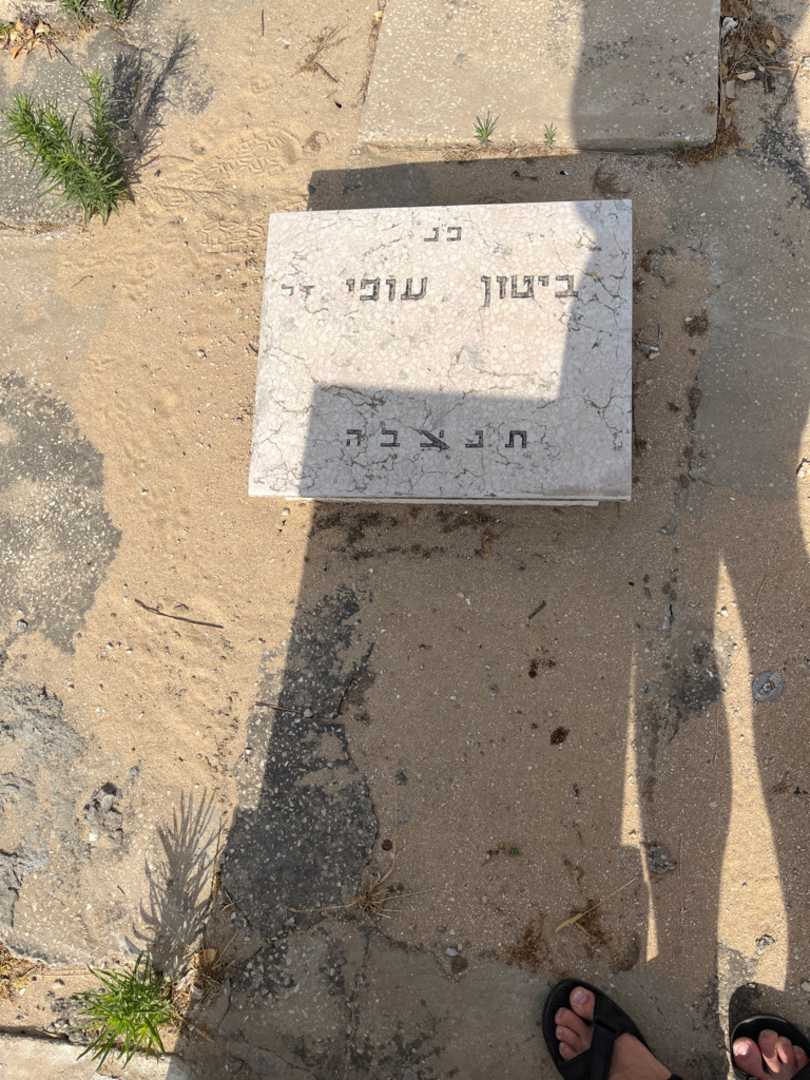 קברו של עופי ביטון. תמונה 1