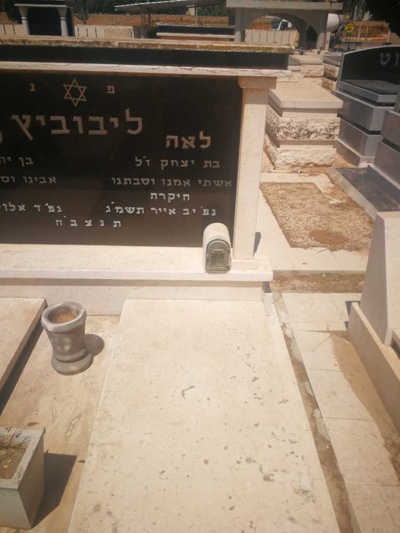 קברו של לאה לייבוביץ. תמונה 2