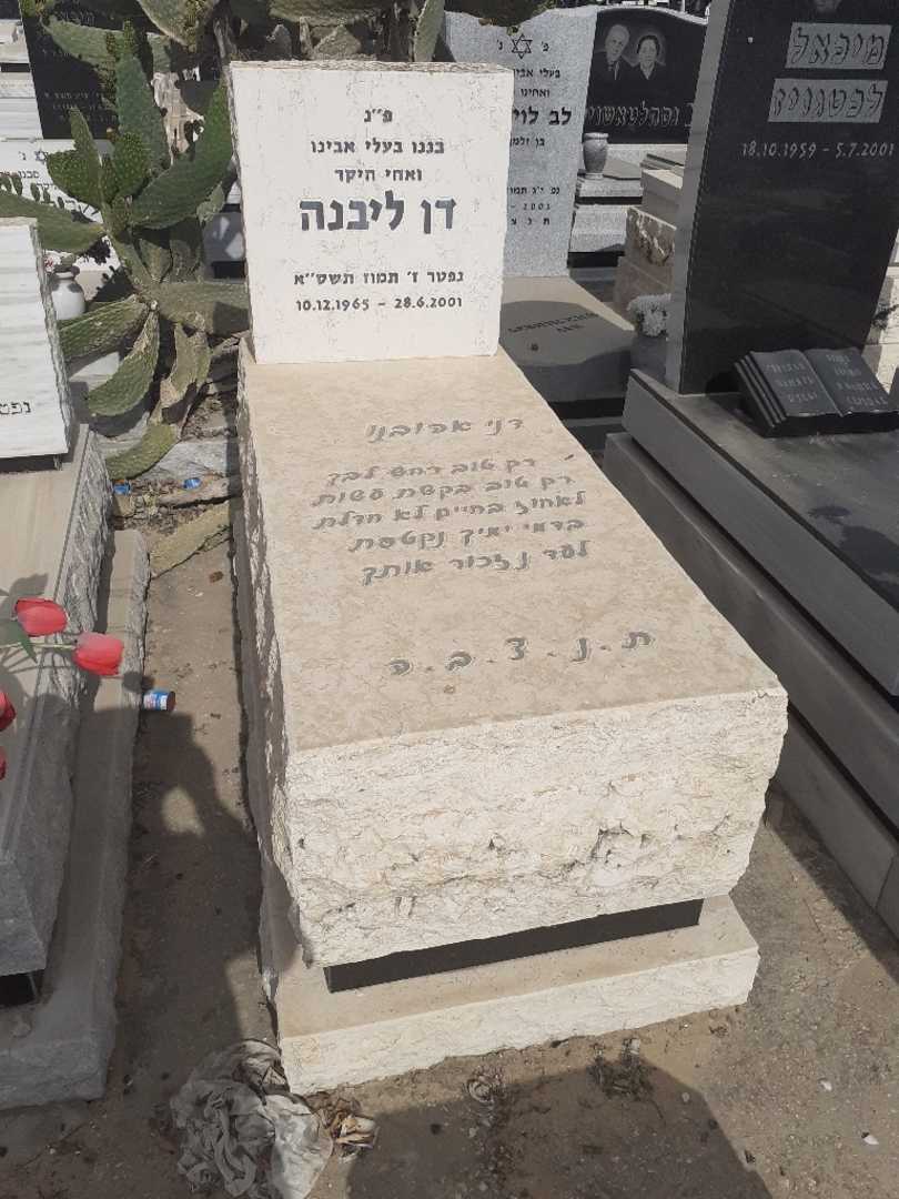 קברו של דן ליבנה. תמונה 1