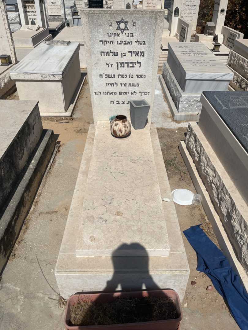 קברו של מאיר ליברמן. תמונה 1