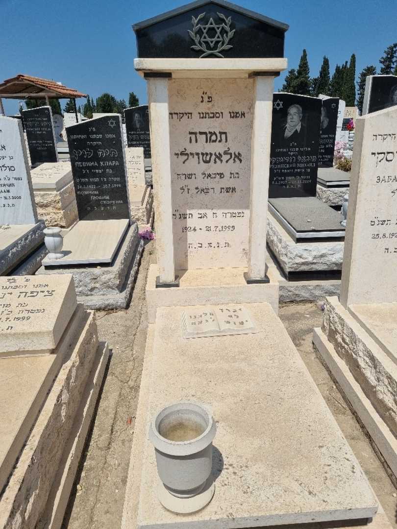 קברו של תמרה אלשוילי. תמונה 1