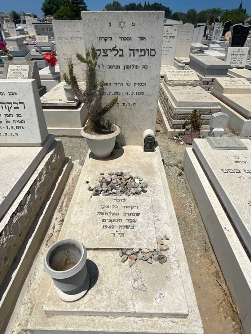 קברו של סופיה גליצקי. תמונה 1