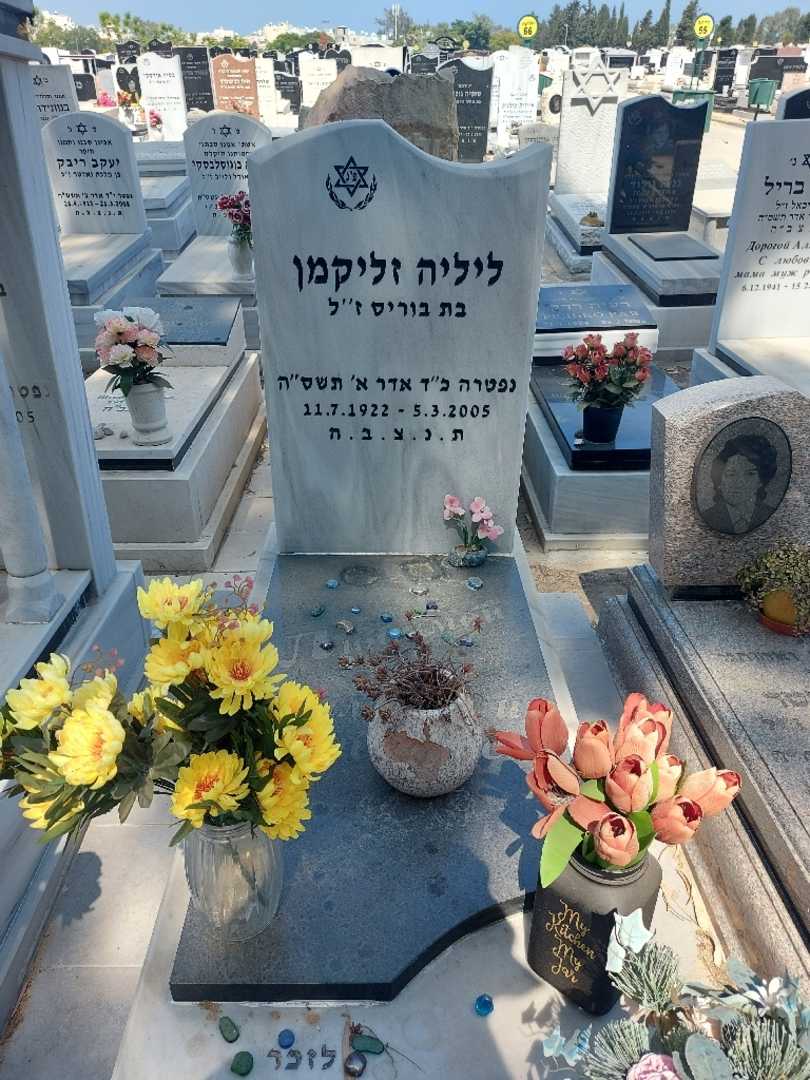 קברו של ליליה זליקמן. תמונה 1