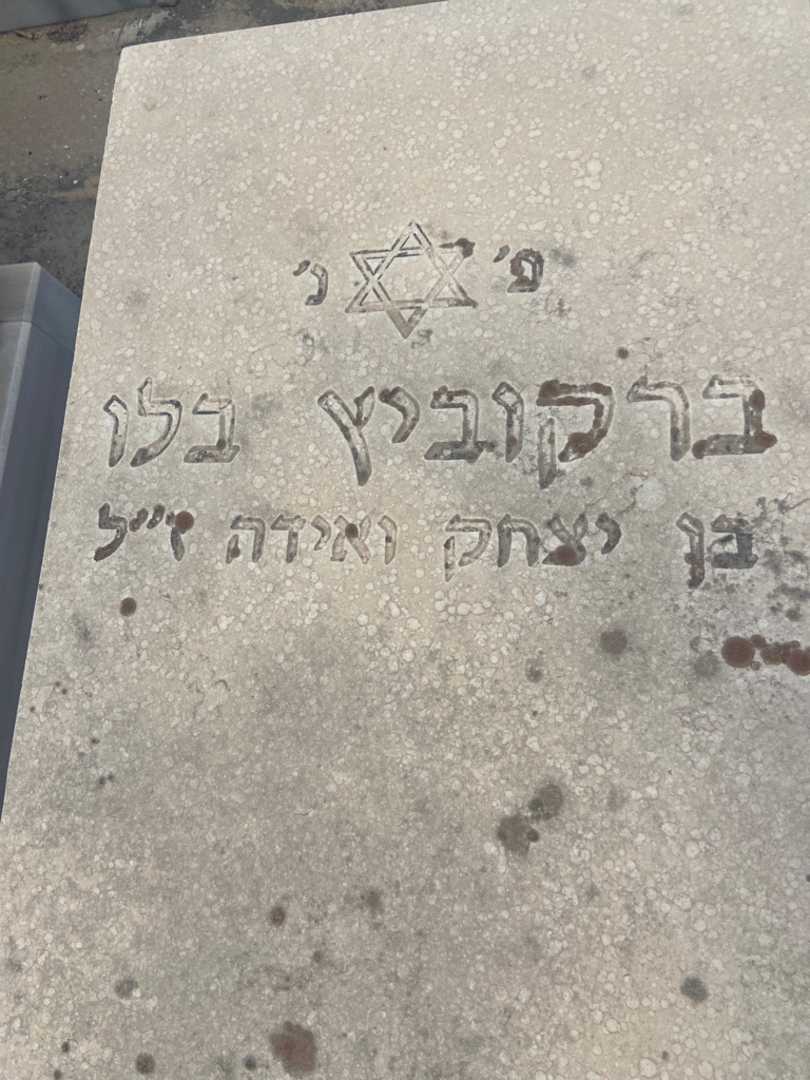 קברו של בלו ברקוביץ. תמונה 2