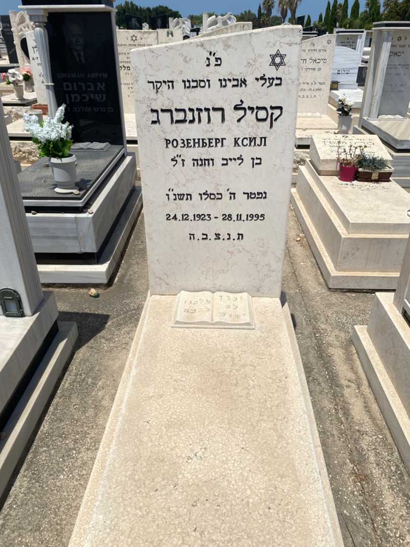 קברו של קסיל רוזנברג. תמונה 1