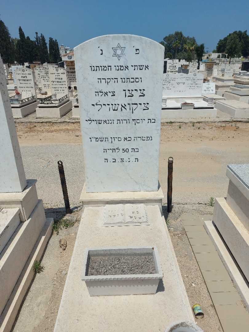 קברו של ציצו "ציאלה" ציקואשוילי. תמונה 1