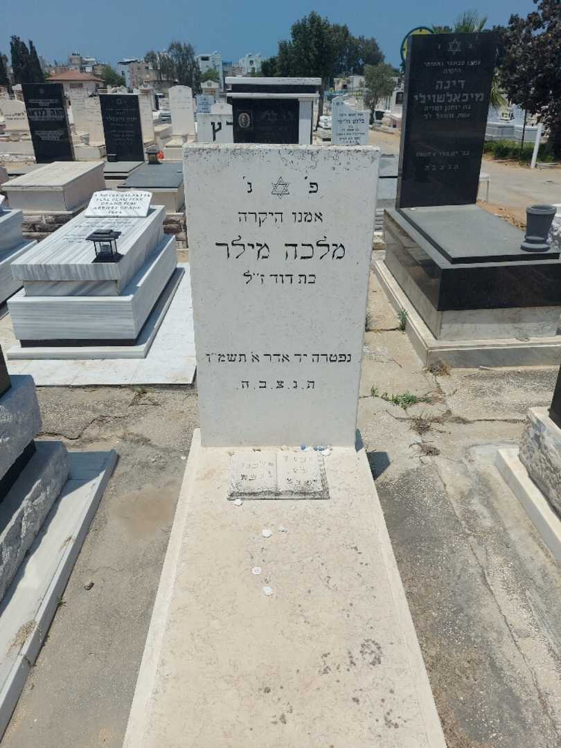 קברו של מלכה מילר. תמונה 1
