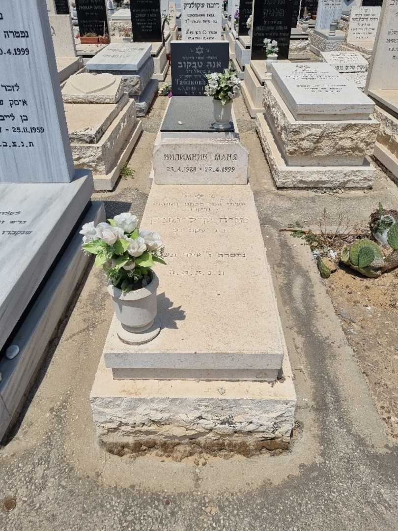 קברו של מניה קילימניק. תמונה 1
