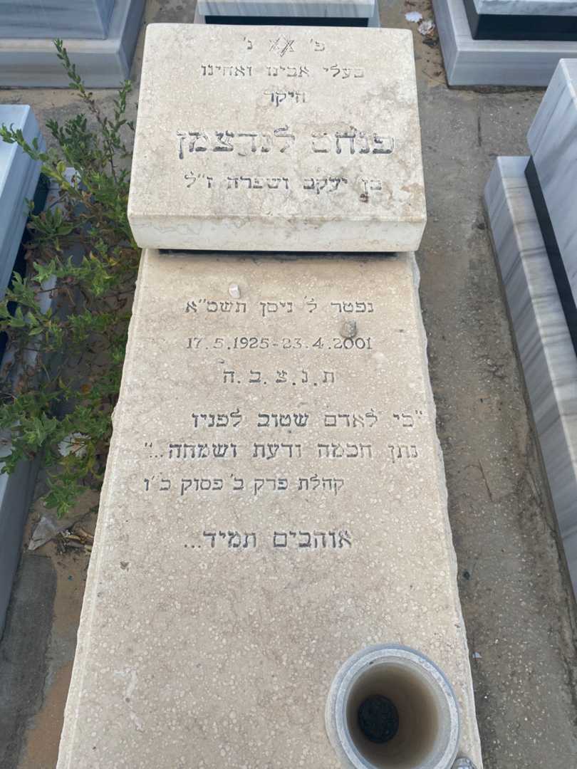 קברו של פנחס לנדצמן. תמונה 3