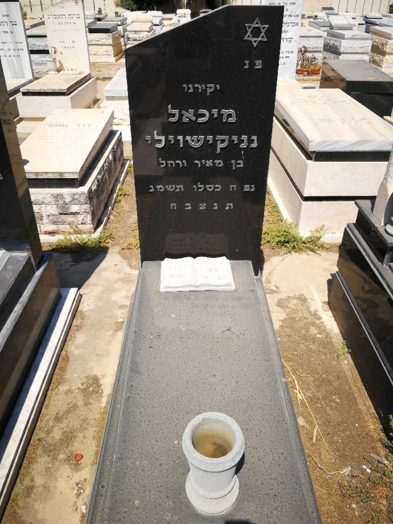 קברו של מיכאל נניקאשוילי. תמונה 1