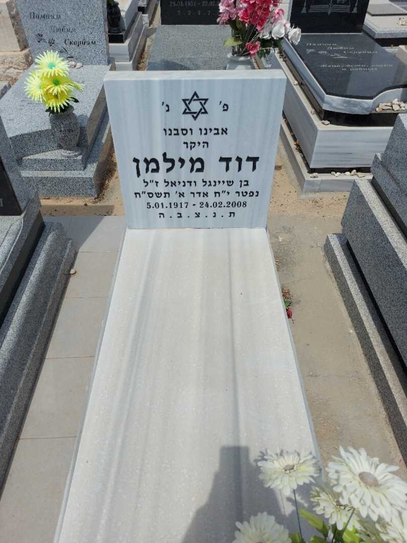 קברו של דוד מילמן. תמונה 1