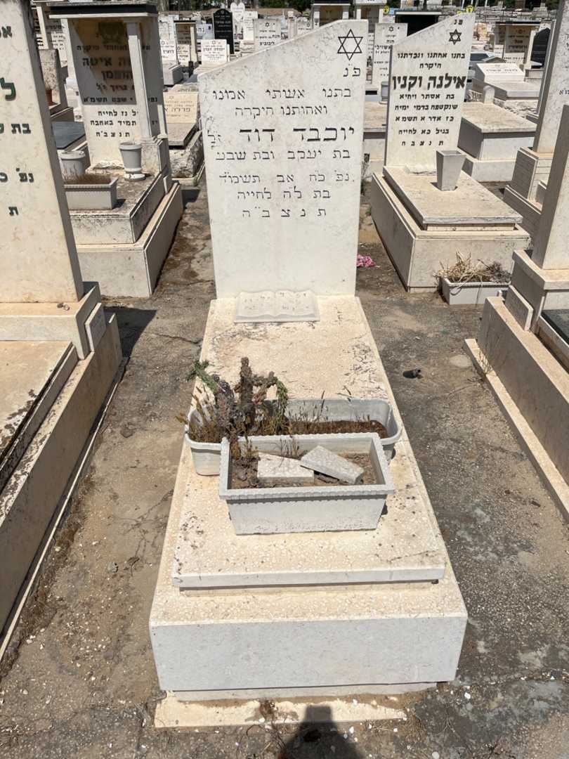 קברו של דוד יוכבד. תמונה 1