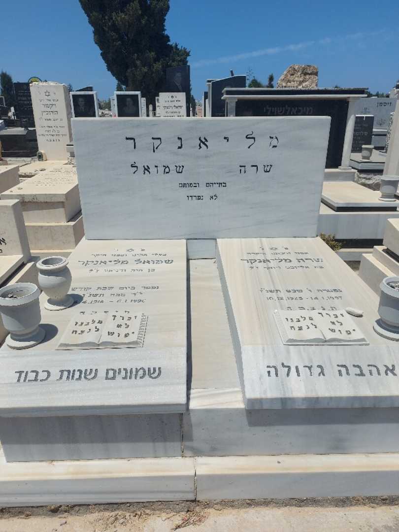קברו של שרה מליאנקר. תמונה 2