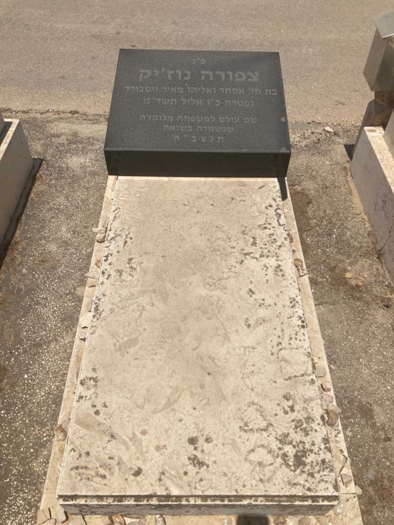 קברו של צפורה נוזק. תמונה 1